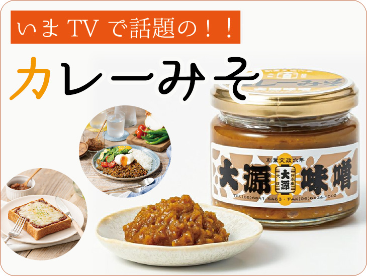 カレーみそ 140g×10個 | 赤・白・おかず味噌なら大阪『大源味噌